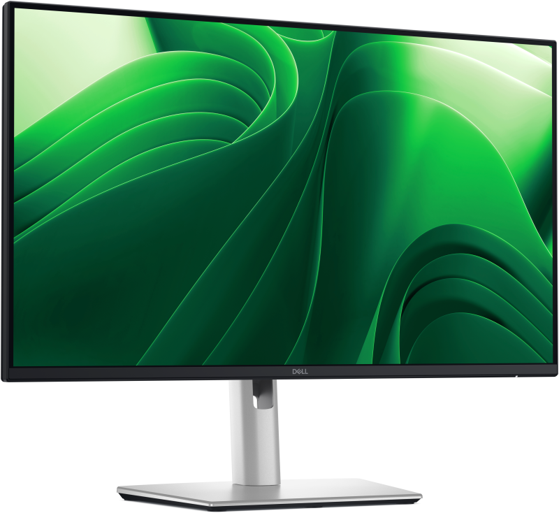 Monitor Dell PRO 24" P2425DE 60.45 cm, 2560 x 1440