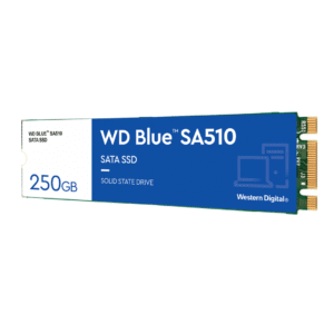SSD WD Blue SA510 250GB SATA-III M.2 2280