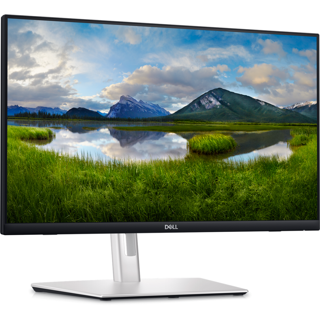 Monitor Dell 24" P2424HT, 60.47 cm, 1920 x 1080, 60 - imagine 4