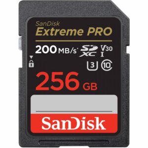 Card de Memorie SDXC SanDisk, 256GB, Clasa 10, Reading speed: