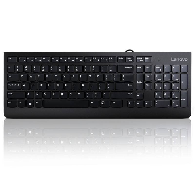 Lenovo 300 USB Keyboard - US English, Tip: Standard, Interfata