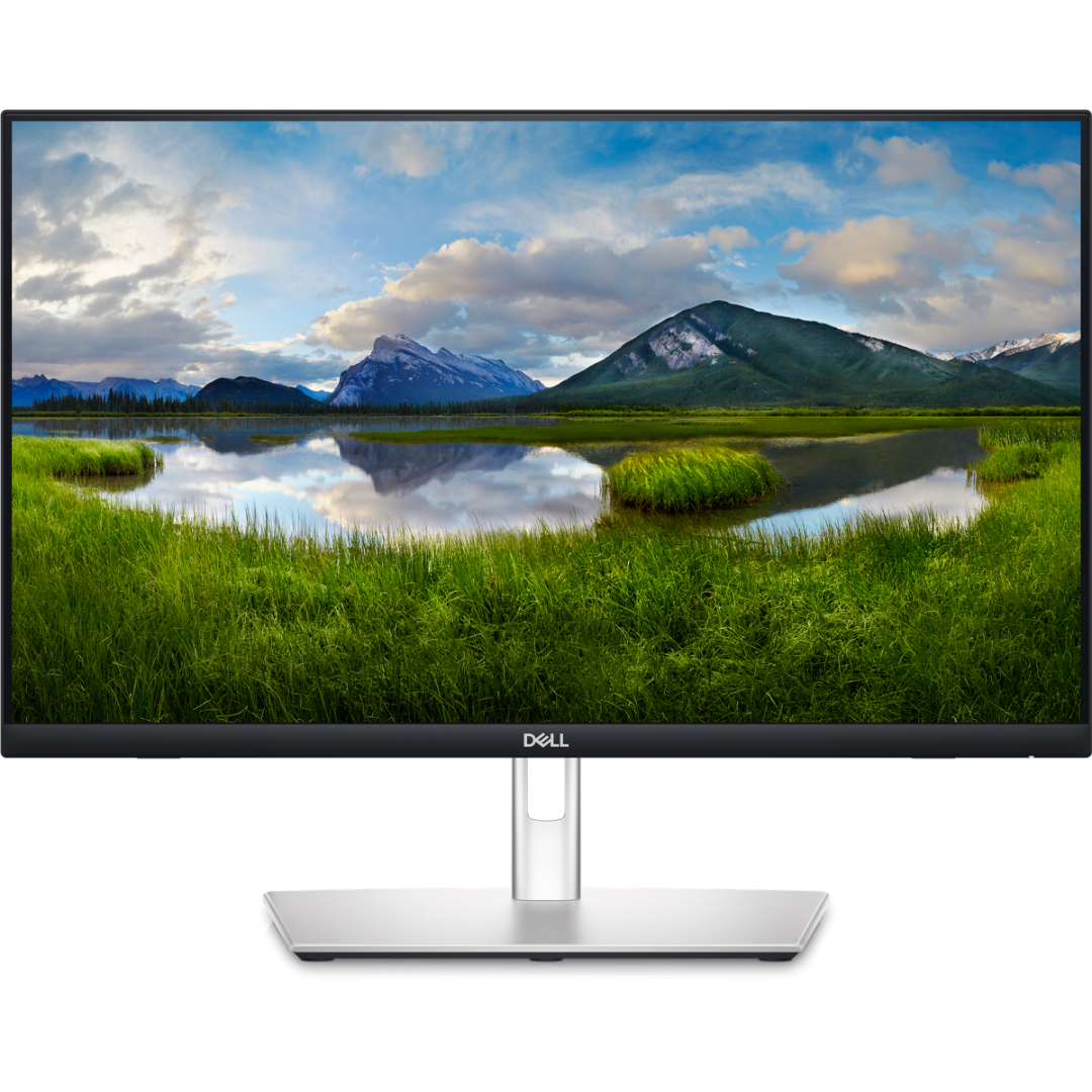 Monitor Dell 24" P2424HT, 60.47 cm, 1920 x 1080, 60